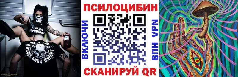 продажа наркотиков  Таштагол  Псилоцибиновые грибы Cubensis 
